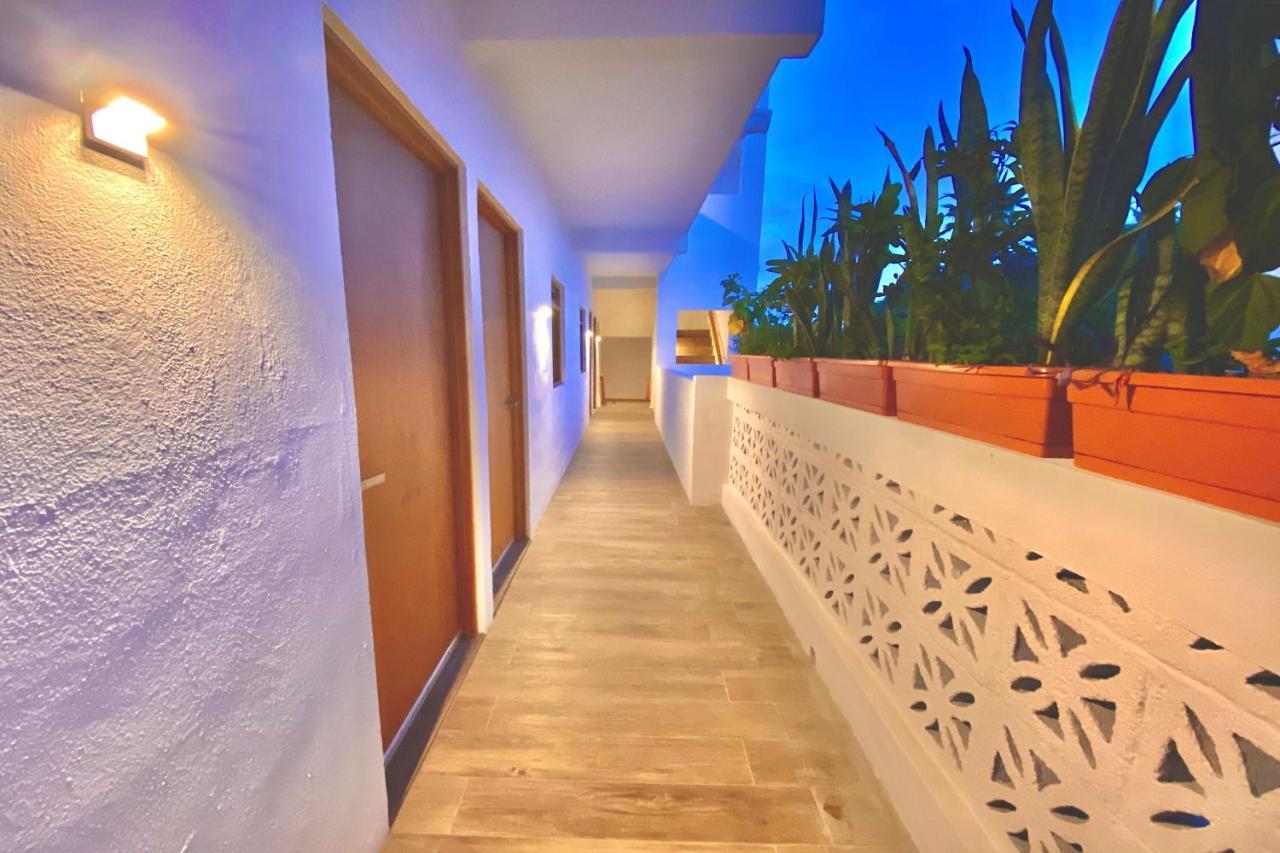 Casa Palo Verde Cabo San Lucas Eksteriør bilde